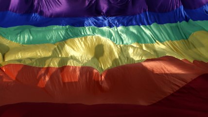   Movilh valoró retiro de circulación de diccionario homofóbico 