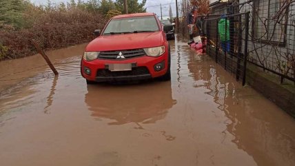  Familias de Chillán piden más apoyo por continua inundación  