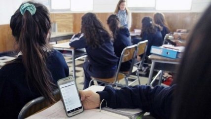   Experta y el Simce: 