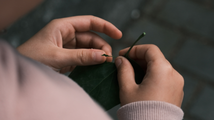   Niño esclavizado en Iquique: 