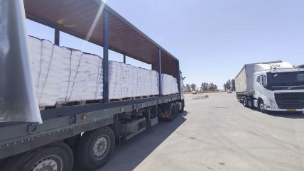   OMS: Ningún camión nuestro de ayuda humanitaria ha podido entrar a Gaza 