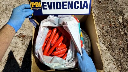   A la cárcel dos acusados de robar dinamita desde faena minera en Antofagasta 
