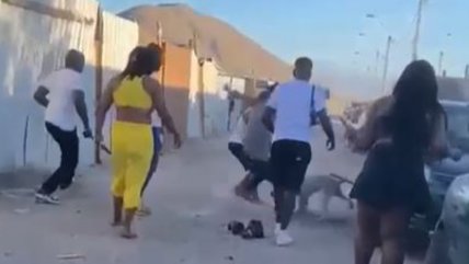  Detuvieron a delincuente que apuñaló a perro en Copiapó  