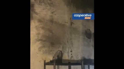 Mural de Nemesio Antúnez fue totalmente destruido en incendio en Santiago Centro Mural de Nemesio Antúnez fue totalmente destruido en incendio en Santiago Centro
