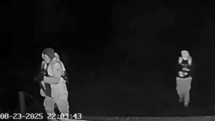   Contratistas forestales y violencia en el sur: Mucha baja estadística esconde una extorsión 