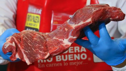   Seremi de Salud recomienda cómo comprar carne para evitar que esté descompuesta 