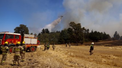  Diputada UDI cuestionó retraso en la tramitación de la nueva Ley de Incendios  