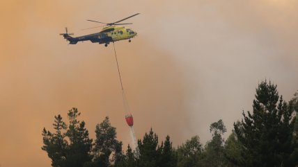  Libre por falta de pruebas el sospechoso de iniciar incendio forestal en el Maule  