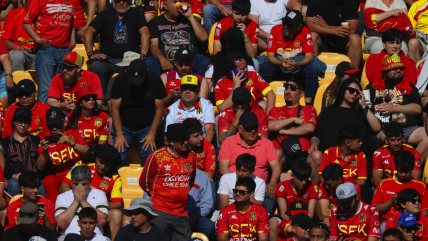   Abogados hinchas de Unión Española comandarán demanda en justicia ordinaria por el tema descenso 