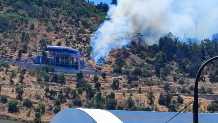   Bomberos y Conaf combaten incendio forestal en Parque Metropolitano 