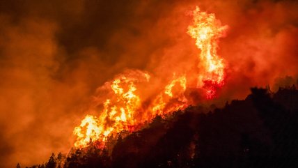   Van más de 4.000 hectáreas afectadas por incendios en la Patagonia argentina 