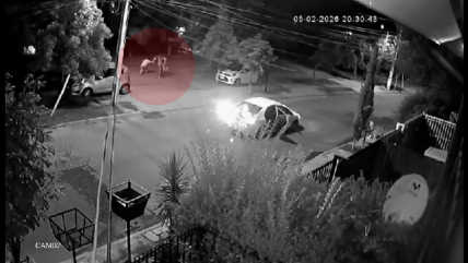   Una madre y sus dos hijos sufrieron violento portonazo en Puente Alto 