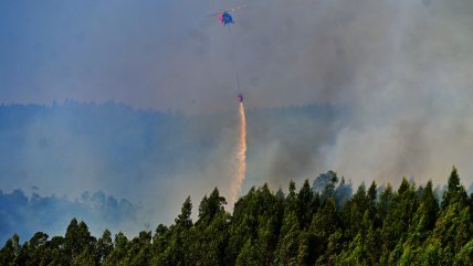   Incendio en Vichuquén suma 380 hectáreas consumidas 