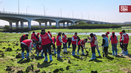   Las claves del plan verde de Xiamen: manglares, parques urbanos y más áreas verdes 