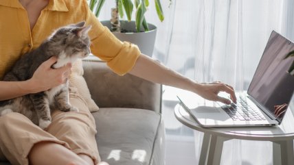   Italia da paso inédito y crea licencia laboral para cuidar mascotas enfermas 