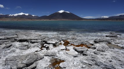   Greenpeace: Es perfectamente posible compatibilizar crecimiento económico y cuidado ambiental 