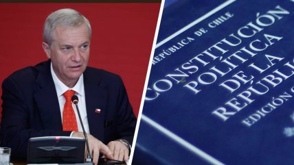   Expresidenta del TC: 