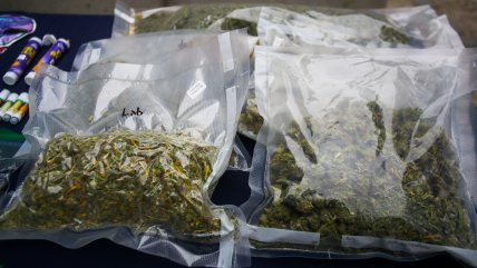   La ONU afirma que la legalización de la marihuana aumenta su consumo 