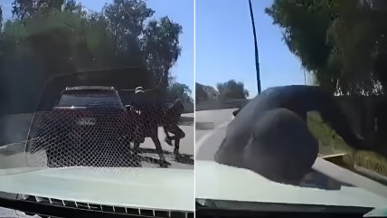   Agustín Romero: Si voy en auto y tratan de asaltarme, los paso por arriba y me importa un bledo 