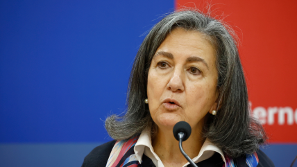   Ministra Chomali viaja a Antofagasta ante hallazgo de mosquito transmisor del dengue 