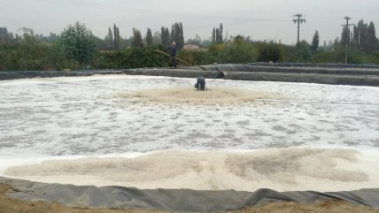   Tribunal mantuvo sanción contra embotelladora que fabricó cerveza sin haberlo declarado 