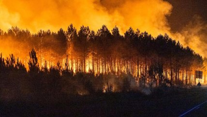  Francia sufre por incendios forestales: 98 mil hectáreas destruidas y 