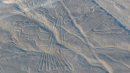   Tragedia en Perú: 13 muertos por la caída de una avioneta en las Líneas de Nazca 