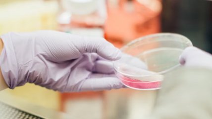   Revolución científica: un sistema de IA creó, desde cero, genomas funcionales para combatir bacterias resistentes 