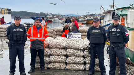  Incautaron 1.500 kilos de almejas con marea roja en Quellón  