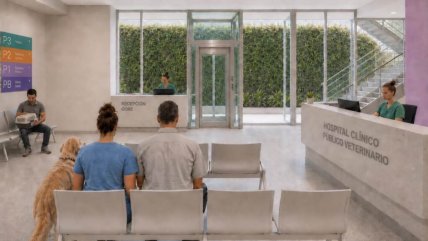  La Región Metropolitana tendrá un hospital veterinario público en 2028 