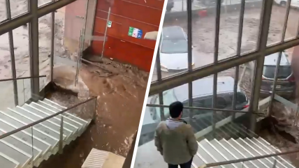   Comunidad de U. Los Andes se mantendrá en el campus: 