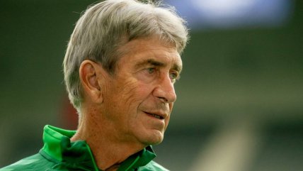   Pellegrini criticó el extenso receso por fecha FIFA: 