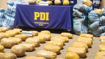   Prisión preventiva para sujeto que transportaba más de 234 kilos de marihuana hacia Calama 